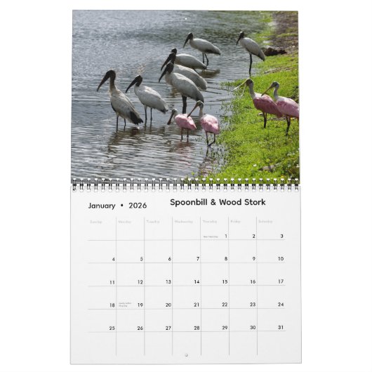 Impressions of Florida 2026 Calendar Kalender (Jan 2026)