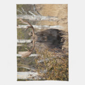 Impressive Bullenmoose Geschirrtuch (Vertikal)