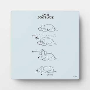 In a Dog's Age Fotoplatte