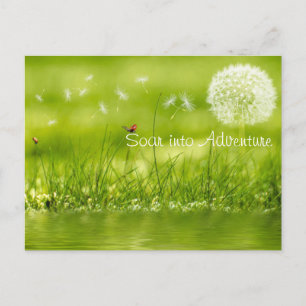 In Abenteuer einsteigen Postkarte