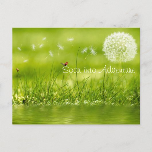 In Abenteuer einsteigen Postkarte (Vorderseite)