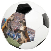 "In Aktion: Kangaroos spielt Aussie-Regeln Fußball (Dreiviertel)