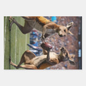 "In Aktion: Kangaroos spielt Aussie-Regeln Geschenkpapier Set (Vorderseite 2)