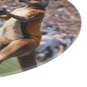 "In Aktion: Kangaroos spielt Aussie-Regeln Schneidebrett (Ecke)