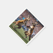"In Aktion: Kangaroos spielt Aussie-Regeln Serviette (Ecke)