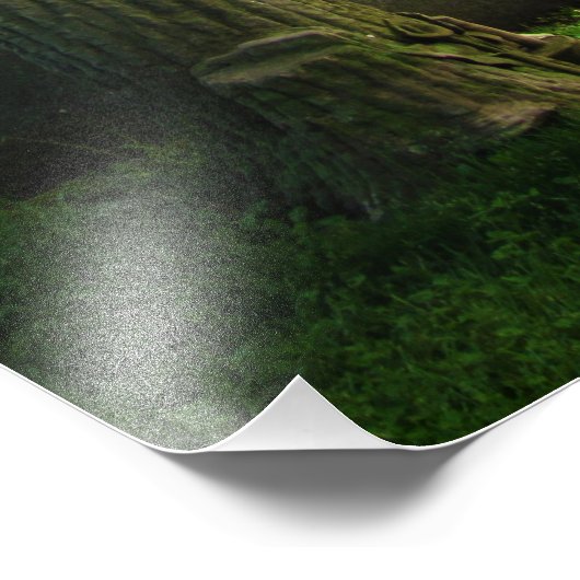 "In Anguisch verschleiert" Fotodruck (Ecke)