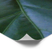 In Bloom Poster (Ecke)