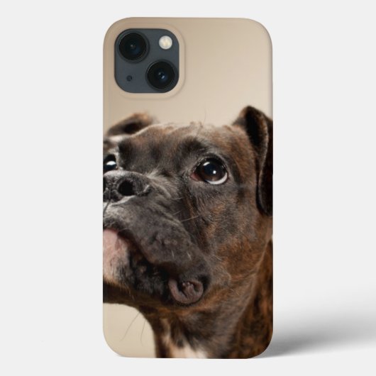 In Brindle Boxer puppy looking up curiously. Case-Mate iPhone Hülle (Rückseite)