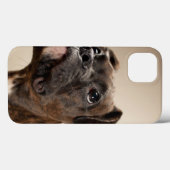 In Brindle Boxer puppy looking up curiously. Case-Mate iPhone Hülle (Rückseite (Horizontal))
