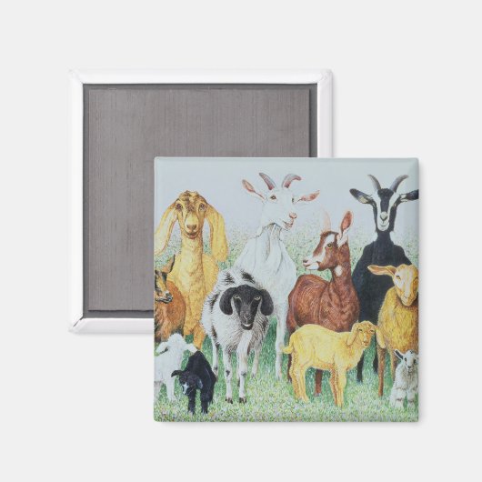 In Cloud Magnet (Vorderseite/Rückseite)