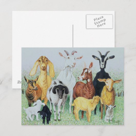 In Cloud Postkarte (Vorne/Hinten)