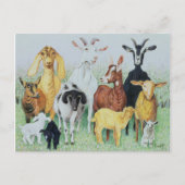 In Cloud Postkarte (Vorderseite)