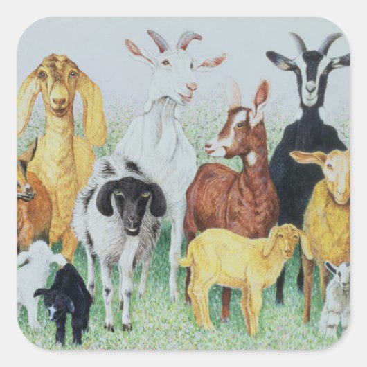 In Cloud Quadratischer Aufkleber (Vorderseite)