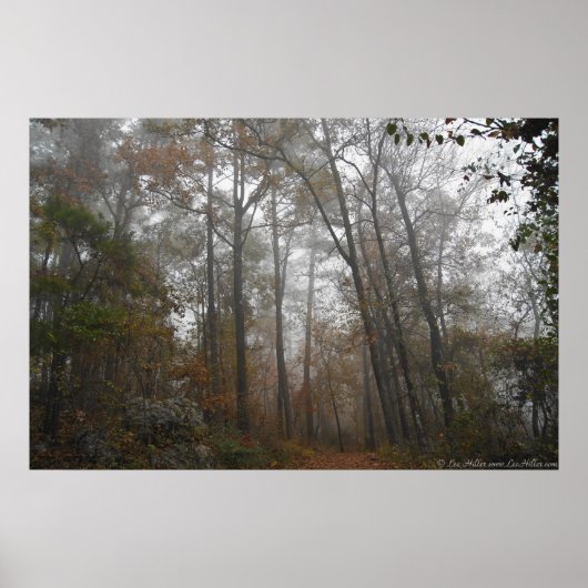 In das Forest Forest Poster des Herbstes (Vorne)