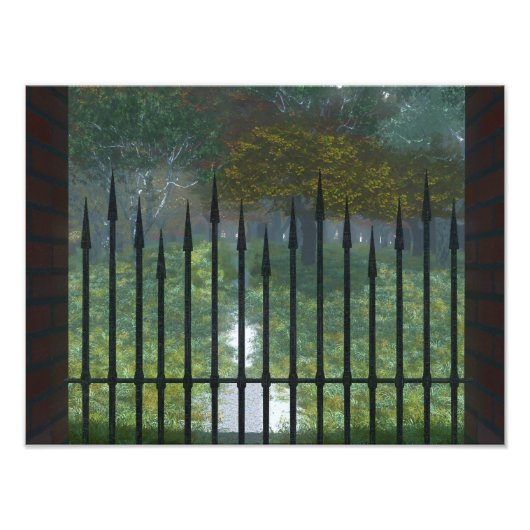 In das Foto Old Forest drucken (Vorne)