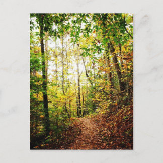 In das Holz Postkarte