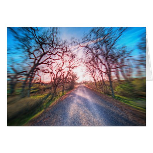 In das Licht (Vorderseite (Horizontal))