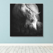 In das Licht - Dartmoor Pony, schöne Kunst Leinwanddruck (Insitu (Holzboden))