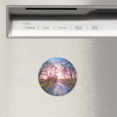 In das Licht Magnet (In Situ (Geschirrspüler))
