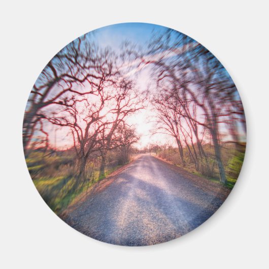 In das Licht Magnet (Vorne)