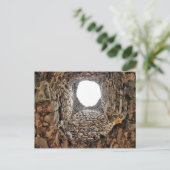 In das Licht Postkarte (Stehend Vorderseite)