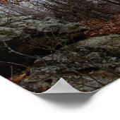 In das Winter Forest Foster Poster (Ecke)