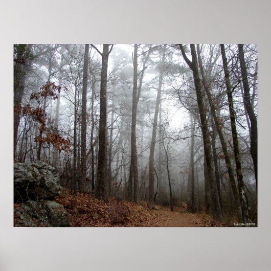 In das Winter Forest Foster Poster (Vorne)