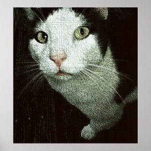 In Deinem Gesicht Bob Poster