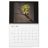 In den 12-monatigen Wald-Kalender Kalender (Mär 2026)