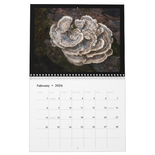 In den 12-monatigen Wald-Kalender Kalender (Feb 2026)