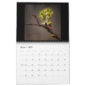 In den 12-monatigen Wald-Kalender Kalender (Mär 2027)