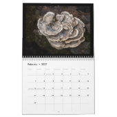 In den 12-monatigen Wald-Kalender Kalender (Feb 2027)