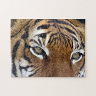 In den Augen eines Tigerpuzzles Puzzle