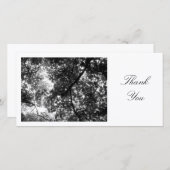 In den Bäumen - danke (Vorne/Hinten)