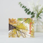 In den Bäumen von JerseyFawn Postkarte (Stehend Vorderseite)