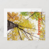 In den Bäumen von JerseyFawn Postkarte (Vorne/Hinten)