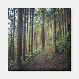 In den Bergen   Wakayama wandern, Japan Magnet
