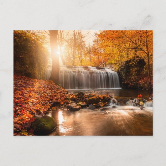 IN DEN FARBEN DER UMGEBUNG POSTKARTE (Vorderseite)