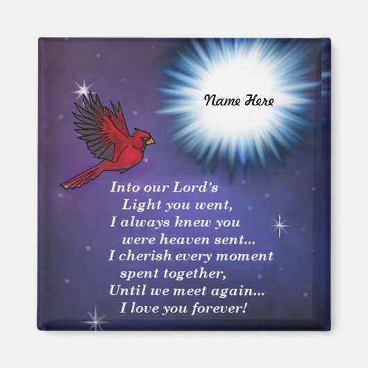 In den hellen Kardinal Magnet (Vorne)