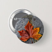 "In den Herbst einsteigen" Button (Vorne & Hinten)
