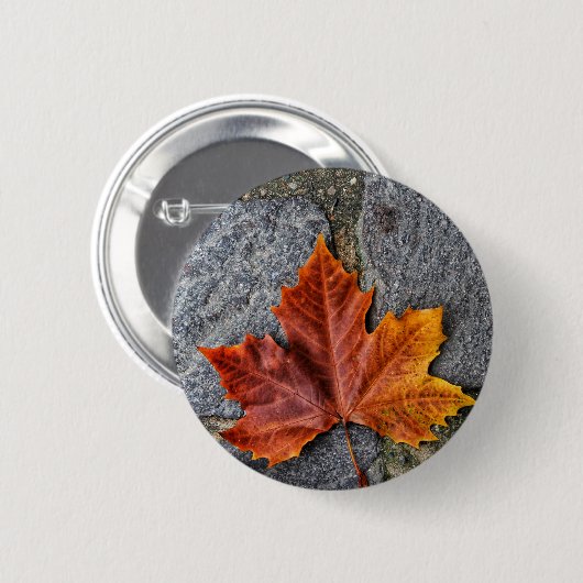 "In den Herbst einsteigen" Button (Vorne & Hinten)