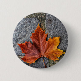 "In den Herbst einsteigen" Button