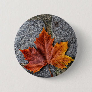 "In den Herbst einsteigen" Button