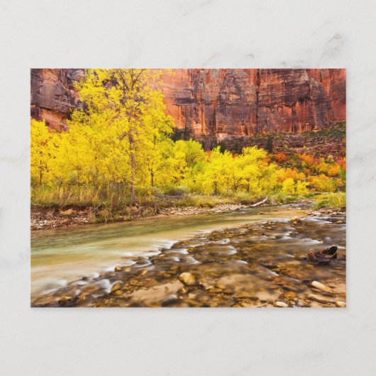 In den Herbst Postkarte (Vorderseite)