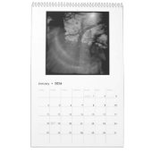 In den Köpfen der Bäume, Band 3 Kalender (Jan 2026)