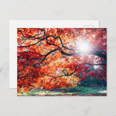 IN DEN MAGISCHEN FARBEN DER POSTKARTE (Vorne/Hinten)