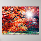 IN DEN MAGISCHEN FARBEN DER UMGEBUNG POSTER (Vorne)