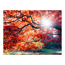 IN DEN MAGISCHEN FARBEN DER UMGEBUNG