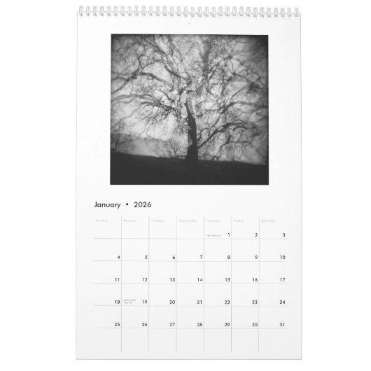 In den Minds of Trees, Vol. 2 Kalender (Jan 2026)