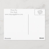 In den Nebel Postkarte (Rückseite)